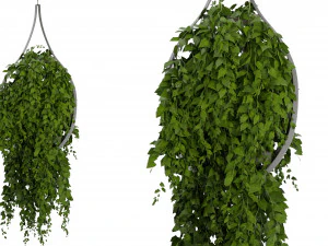 Collection Plant Vol 253 - Blender Model 3D Model