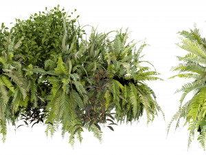 Collection Plant Vol 254 - Blender Model 3D Модель