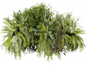 Collection Plant Vol 254 - Blender Model 3D Model