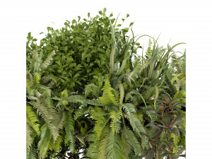 Collection Plant Vol 254 - Blender Model 3D Model