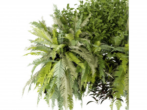 Collection Plant Vol 254 - Blender Model 3D Model