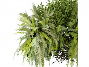 Collection Plant Vol 254 - Blender Model 3D Model
