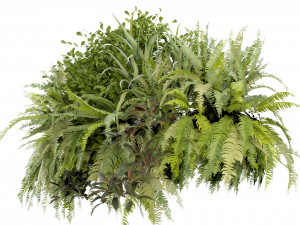 Collection Plant Vol 254 - Blender Model 3D Model