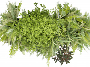 Collection Plant Vol 254 - Blender Model 3D Model