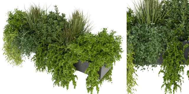 Collection Plant Vol 255 - Blender Model Modelo 3D .c4d .max .obj .3ds .fbx .stl .blend 