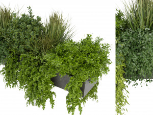 Collection Plant Vol 255 - Blender Model 3D Модель