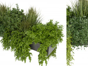 Cole&ccedil;&atilde;o Plant Vol 255 - Modelo Blender Modelo 3D