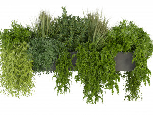 Collection Plant Vol 255 - Blender Model Modelo 3D