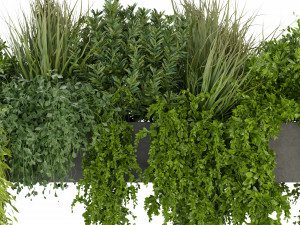 Collection Plant Vol 255 - Blender Model Modelo 3D