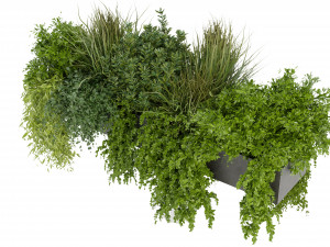 Collection Plant Vol 255 - Blender Model Modelo 3D