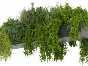 Collection Plant Vol 255 - Blender Model Modelo 3D