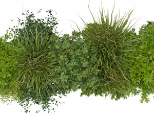 Collection Plant Vol 255 - Blender Model Modelo 3D