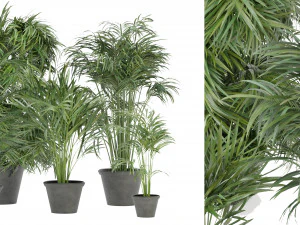 Collection Plant Vol 256 - Blender Model 3D Model