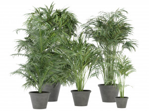 Collection Plant Vol 256 - Blender Model Modelo 3D