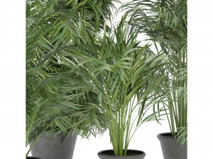 Collection Plant Vol 256 - Blender Model Modelo 3D