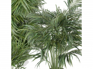 Collection Plant Vol 256 - Blender Model Modelo 3D
