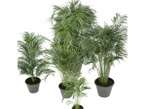 Collection Plant Vol 256 - Blender Model Modelo 3D