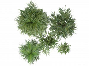 Collection Plant Vol 256 - Blender Model Modelo 3D