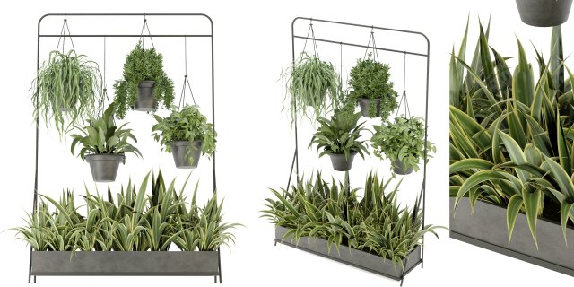 Collection Plant Vol 257 - Blender Model Modèle 3D .c4d .max .obj .3ds .fbx .stl .blend 