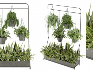 Collection Plant Vol 257 - Blender Model Model 3D