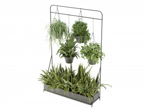 Collection Plant Vol 257 - Blender Model Modèle 3D