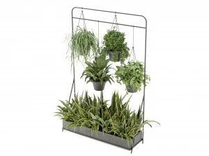 Collection Plant Vol 257 - Blender Model 3D Model