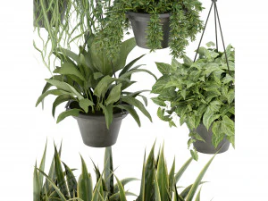 Collection Plant Vol 257 - Blender Model 3D Model