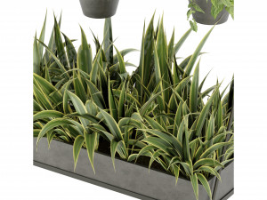 Collection Plant Vol 257 - Blender Model Modèle 3D