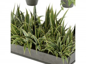 Collection Plant Vol 257 - Blender Model 3D Model