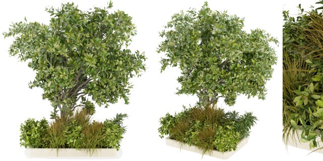 Collection Plant Vol 258 - Blender Model Modelo 3D .c4d .max .obj .3ds .fbx .stl .blend 