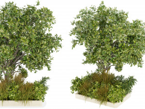 Collection Plant Vol 258 - Blender Model 3D मॉडल