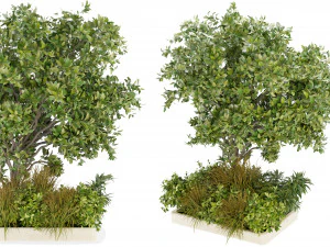 Collection Plant Vol 258 &ndash; Blender-Modell 3D Modell