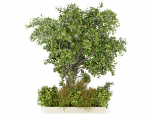 Collection Plant Vol 258 - Blender Model Modelo 3D