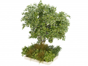 Collection Plant Vol 258 - Blender Model Modelo 3D