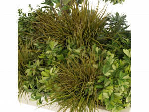 Collection Plant Vol 258 - Blender Model Modelo 3D