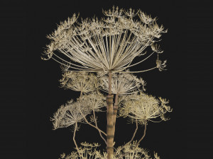 Collection Plant Vol 260 - Blender Model 3D-Modell