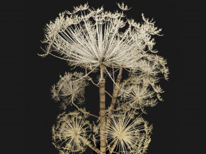 Collection Plant Vol 260 - Blender Model 3D-Modell