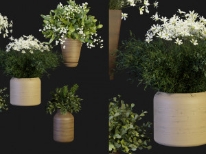 Collection Plant Vol 262 - Blender Model Model 3D