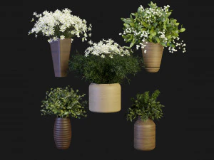 Collection Plant Vol 262 - Blender Model 3D Model