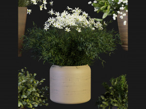 Collection Plant Vol 262 - Blender Model 3D Модель