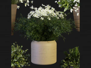 Collection Plant Vol 262 - Blender Model 3D Model