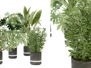 Collection Plant Vol 263 - Blender Model 3D Model