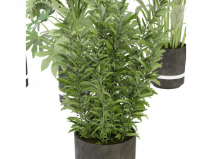 Collection Plant Vol 263 - Blender Model Modelo 3D