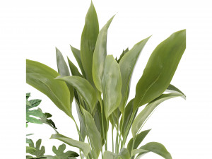 Collection Plant Vol 263 - Blender Model Modelo 3D