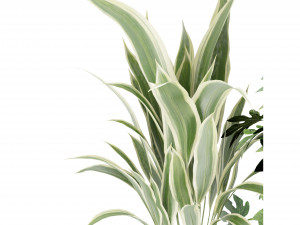 Collection Plant Vol 263 - Blender Model Modelo 3D