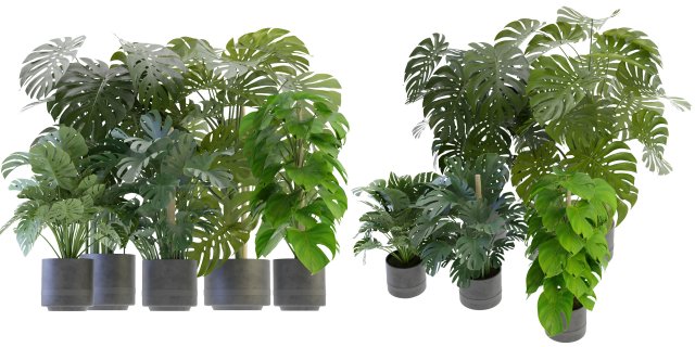 Collection Plant Vol 264 - Blender Model 3D Model .c4d .max .obj .3ds .fbx .stl .blend 