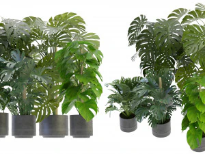 Collection Plant Vol 264 &ndash; Blender-Modell 3D Modell