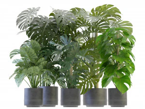 Collection Plant Vol 264 - Blender Model 3D Model