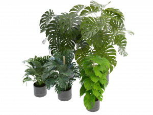 Collection Plant Vol 264 - Blender Model 3D Model