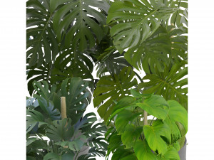 Collection Plant Vol 264 - Blender Model 3D Model